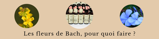 Les fleurs de Bach, c'est quoi et pour quoi faire?