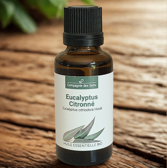 Huile essentielle d'Eucalyptus Citronné - Petite Rainette