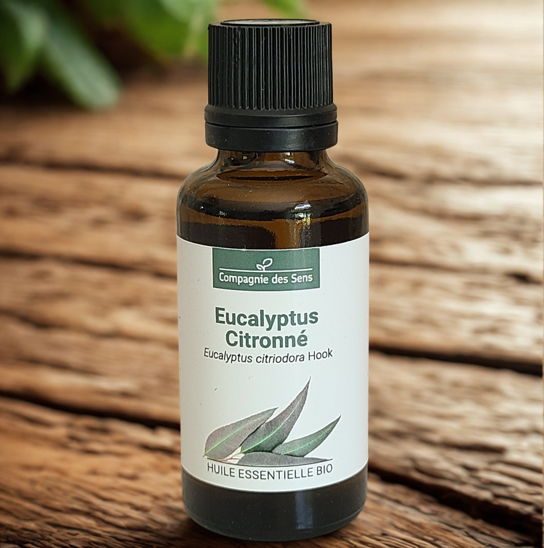 Huile essentielle d'Eucalyptus Citronné - Petite Rainette