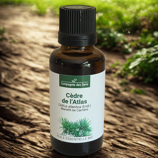 Huile essentielle biologique de Cèdre de l'Atlas - Petite Rainette