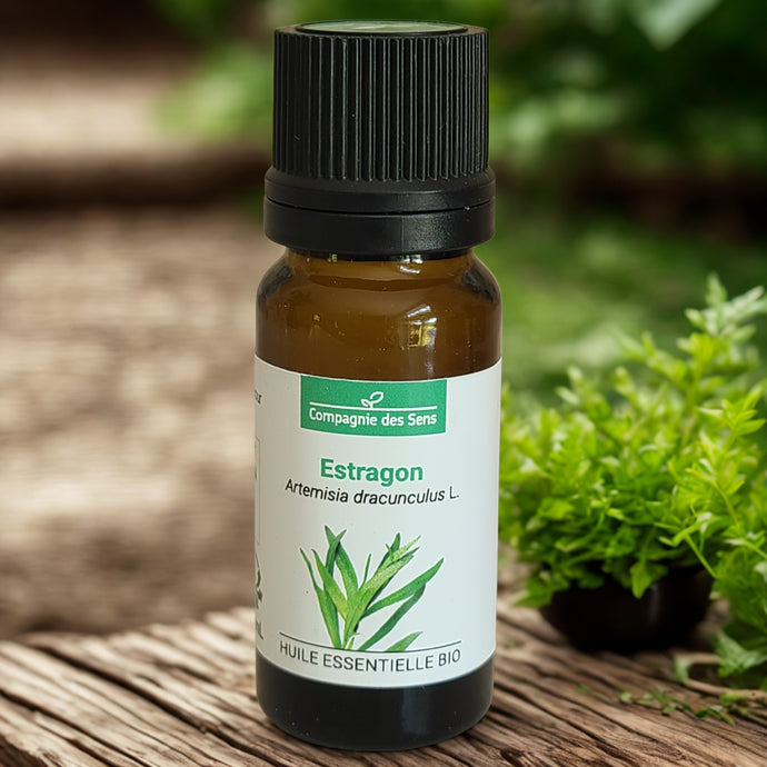Huile essentielle biologique d'Estragon - Petite Rainette