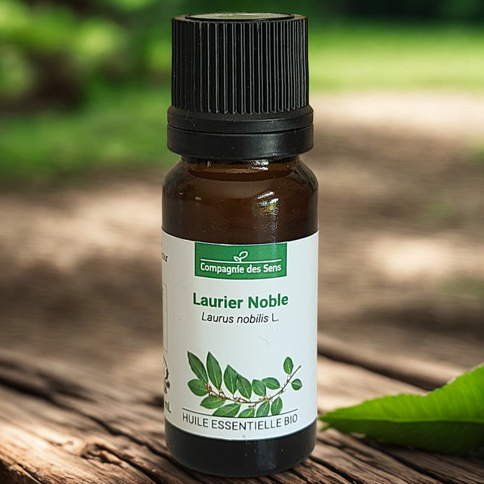 Huile essentielle biologique de Laurier Noble - Petite Rainette