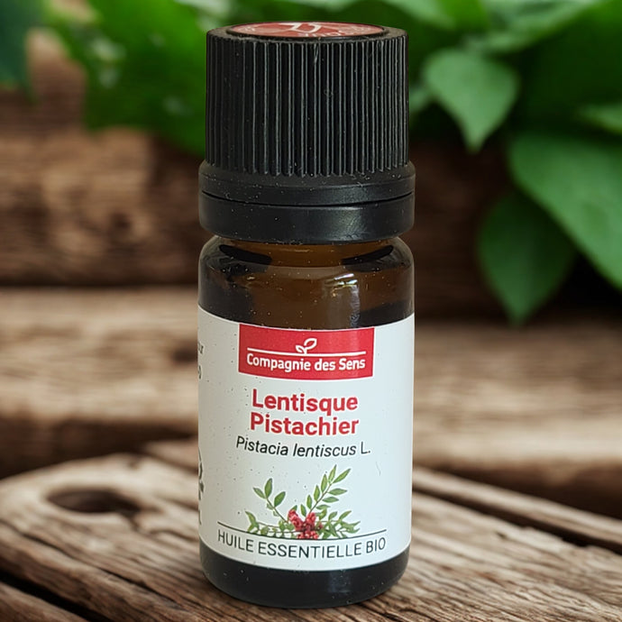 Huile essentielle biologique de Lentisque Pistachier - Petite Rainette