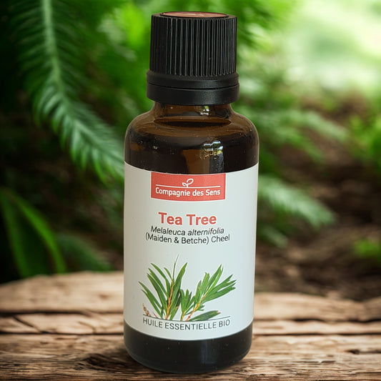 Huile essentielle de Tea tree - Petite Rainette