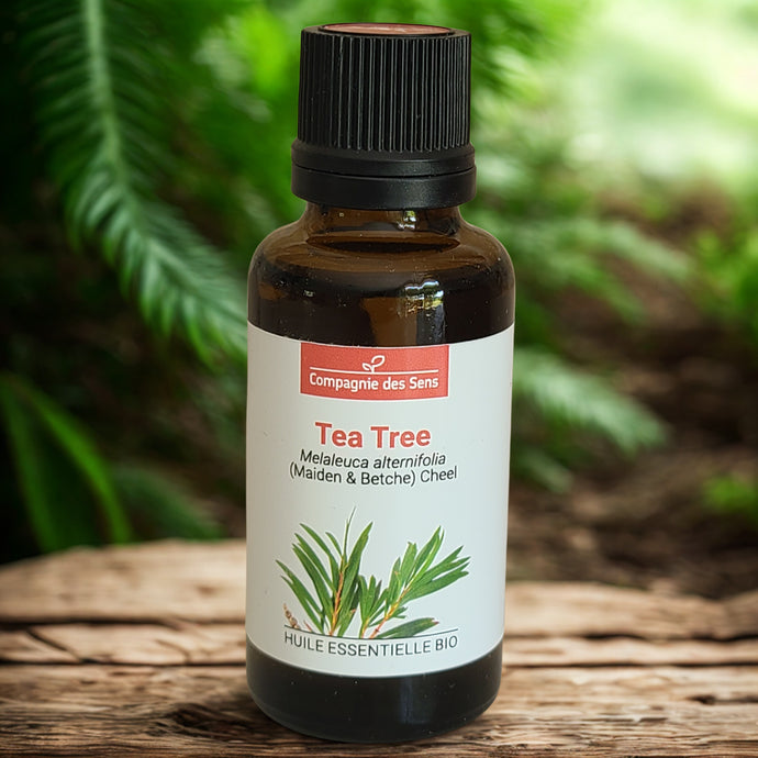 Huile essentielle de Tea tree - Petite Rainette