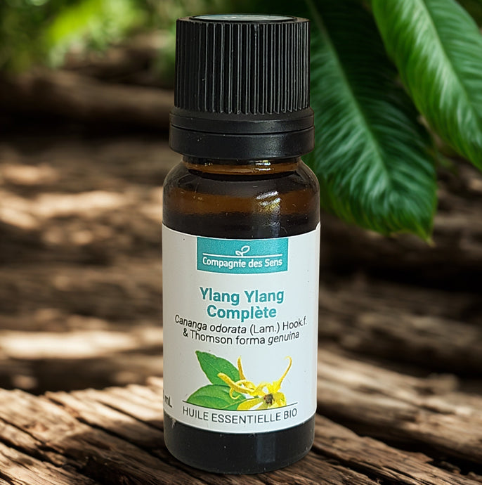 Huile essentielle biologique d'Ylang ylang complète - Petite Rainette