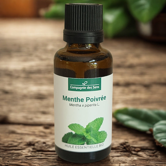 Huile essentielle de Menthe poivrée -  Petite Rainette 