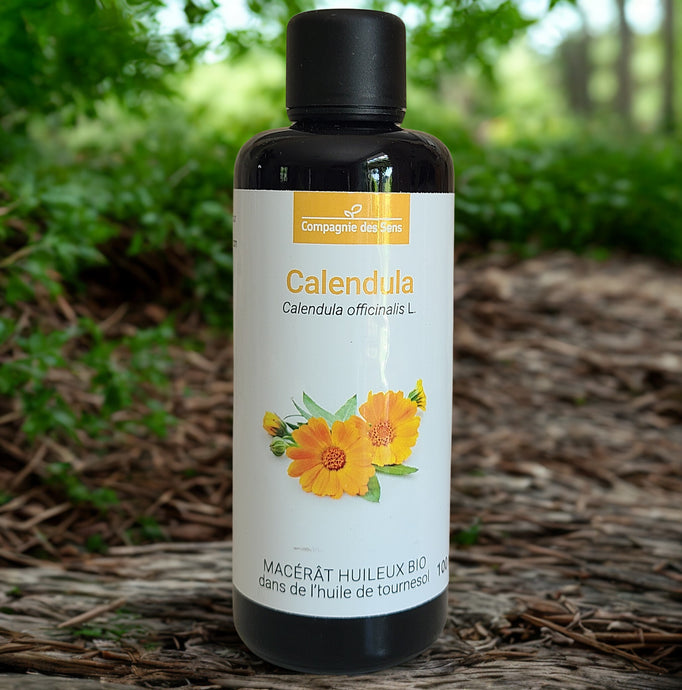 Macérat huileux biologique de Calendula - Petite Rainette