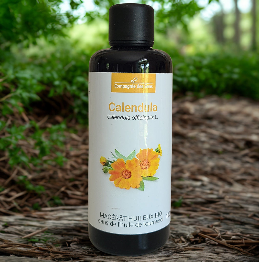 Macérat huileux biologique de Calendula - Petite Rainette
