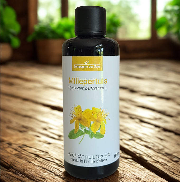 Macérat huileux de Millepertuis - Petite Rainette
