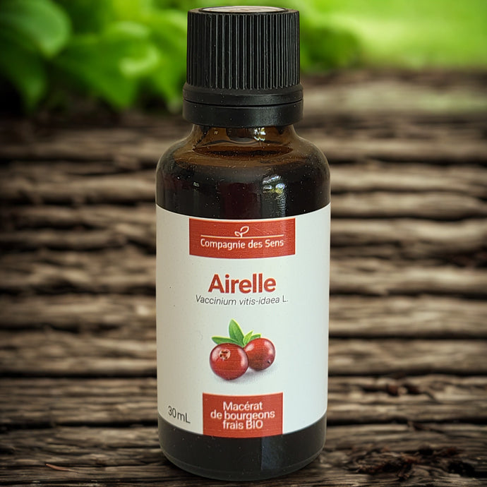 Macérat de bourgeons biologiques d'Airelle - Petite Rainette